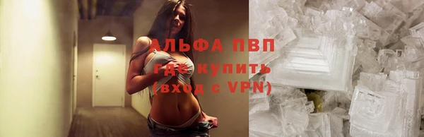 a pvp Дмитровск